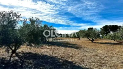 Rustic house in Ibi photo 46