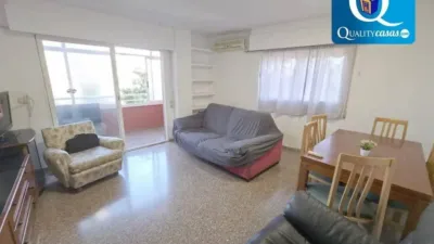 Pis - Vista 2