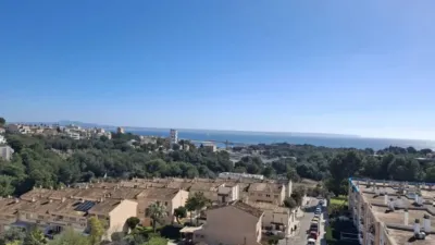 Penthouse at Calle Cala Major - Avenida Joan Miro, 133 photo 20