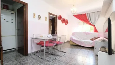 Apartment in La Prosperitat photo 4