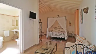 Rustic property in Martín de La Jara photo 56