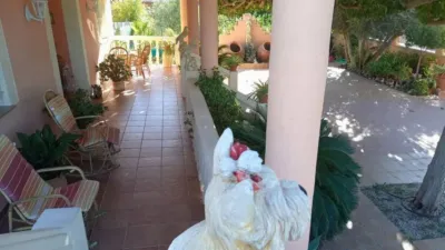 Chalet in Murcia City photo 4