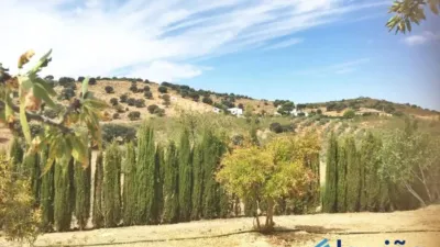 Chalet in Villanueva del Rosario photo 17