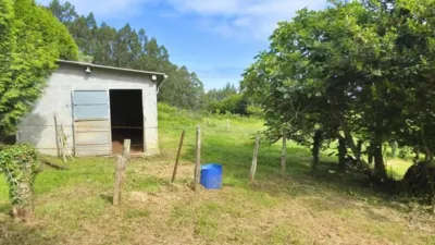 Rustic house in A Vila da Igrexa photo 10