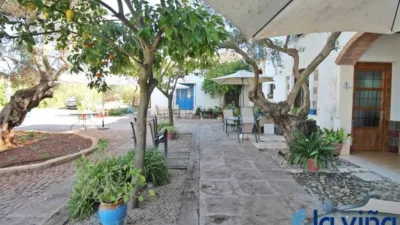 Rustic property in Martín de La Jara photo 12