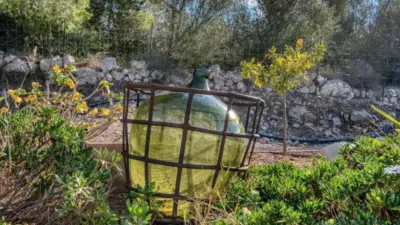 Chalet in Sineu photo 33