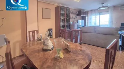Apartment on Alcalde Felipe Mallol photo 2