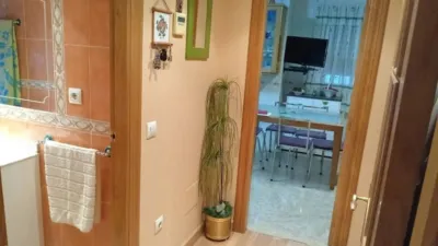 Apartment in Murcia City photo 12