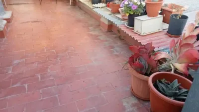 Chalet in Murcia City photo 26