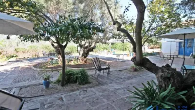 Rustic property in Martín de La Jara photo 13