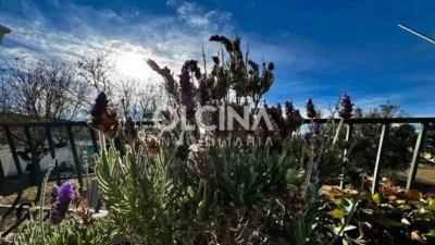 Rustic house in Ibi photo 49