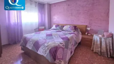 Apartment on Alcalde Felipe Mallol photo 8