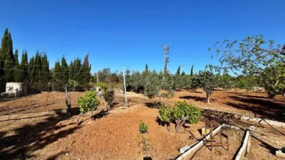 Chalet in Casariche photo 48