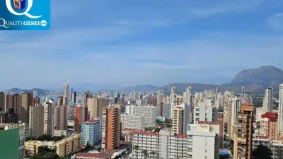 Apartment in Benidorm photo 3