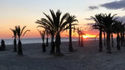 Apartment in Santa Pola photo 30