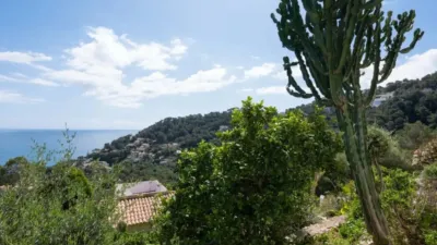 Chalet in Capdepera photo 25