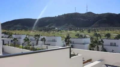 Apartment in Monforte del Cid photo 14