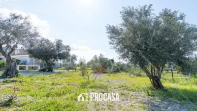 Chalet in Palau-Saverdera photo 14