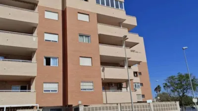 Apartment in San Luis-Los Molinos photo 19