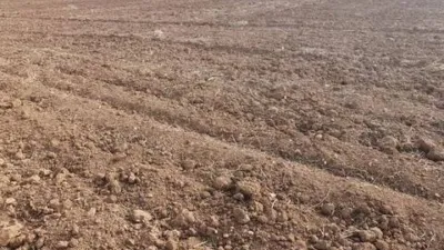 Terreno en venta en Fuente-Álamo - Vista 2