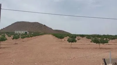 Terreno en venta en Tobarra - Vista 5