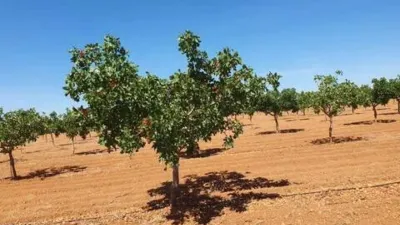 Terreno en venta en Pedanías y Barrios Rurales - Vista 5