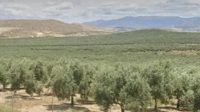 Terreno en venta en Hoya-Gonzalo - Vista 5
