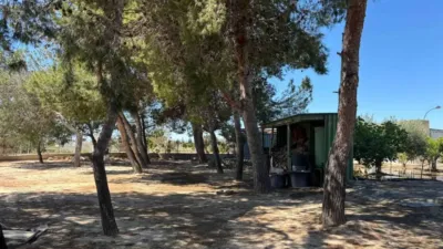 Chalet in Partida Maitino photo 5
