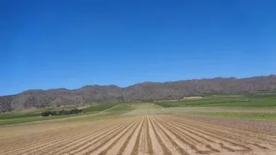 Terreno en venta en Fuente-Álamo - Vista 3