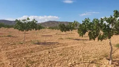 Terreno en venta en Ossa de Montiel - Vista 3