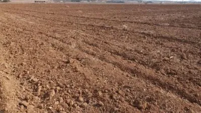 Terreno en venta en Fuente-Álamo - Vista 4