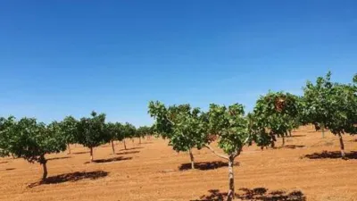 Terreno en venta en Pedanías y Barrios Rurales - Vista 2
