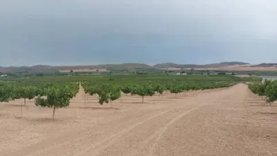 Terreno en venta en Tobarra - Vista 3