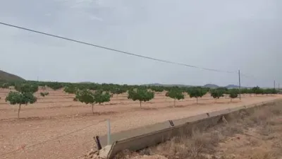 Terreno en venta en Tobarra - Más