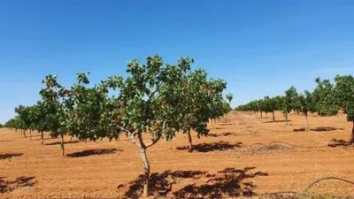 Terreno en venta en Pedanías y Barrios Rurales - Vista 3