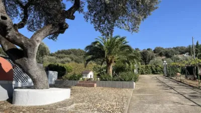 Chalet in Malpartida de Plasencia photo 79