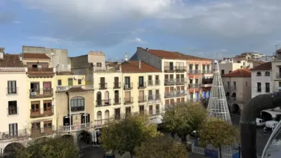 Apartment in Plasencia photo 8