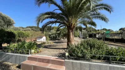 Chalet in Malpartida de Plasencia photo 82