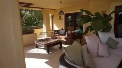 Apartment in Barrio San Roque photo 8