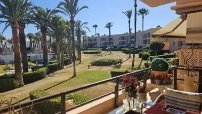 Apartment in San Roque Neighborhood photo 3