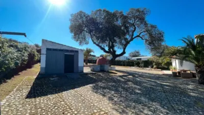 Chalet in Malpartida de Plasencia photo 17