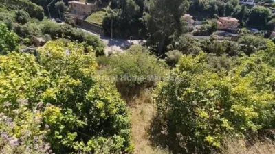 Chalet in Santa Susanna photo 32