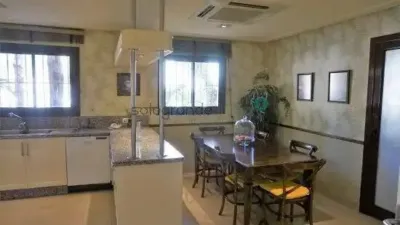 Apartment in Barrio San Roque photo 25