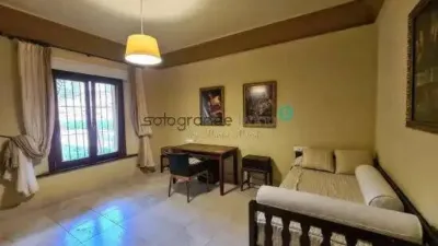Apartment in Barrio San Roque photo 40