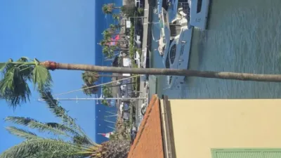 Apartment in San Roque Neighborhood photo 21