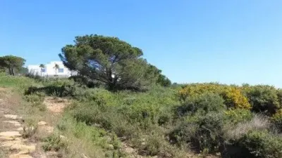 Chalet in Barrio San Roque photo 12