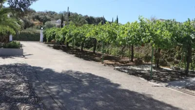 Chalet in Malpartida de Plasencia photo 18