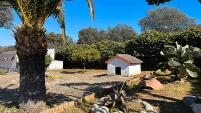 Chalet in Malpartida de Plasencia photo 62