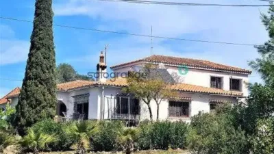 Pis – Callosa de Segura - Vista 4