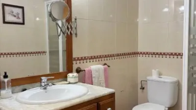 Apartment in Plasencia photo 14
